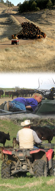Farm and Ranch ATV Safety